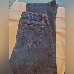 Excellent Condition Modern Fit Ann Taylor Jeans SIZE 12